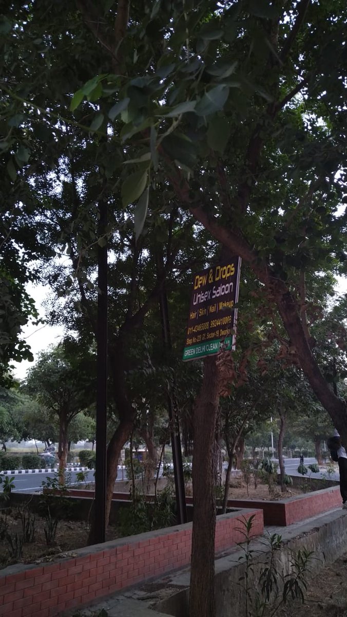 Karamvir Anil Parashar (@anilparashar21) on Twitter photo Illegal nailing of trees.<a href="/OfficialSdmc/">. </a> <a href="/kjsehrawat/">Kamaljeet Sehrawat</a> Location Too many of these on Sector 19/20 xing Dwarka,Delhi and road number 205. <a href="/DMSouthWest1/">District Magistrate, South West Delhi</a> <a href="/DCPDwarka/">DCP/Dwarka, Delhi</a> <a href="/p_sahibsingh/">Parvesh Sahib Singh</a> <a href="/India_NHRC/">NHRC India</a> <a href="/GulabMatiala/">Gulab Singh Yadav</a> <a href="/FedCGHSDwarka/">Federation of CGHS Dwarka Limited</a> <a href="/Dainik_Jagaran/">Dainik Jagran</a> <a href="/dwarkaforum/">dwarkaforum</a> <a href="/kanojiaarun11/">Save Dwarka</a> <a href="/dwarkasvoice/">Dwarkacitizens</a> Illegal nailing of trees.<a href="/OfficialSdmc/">. </a> <a href="/kjsehrawat/">Kamaljeet Sehrawat</a> Location Too many of these on Sector 19/20 xing Dwarka,Delhi and road number 205. <a href="/DMSouthWest1/">District Magistrate, South West Delhi</a> <a href="/DCPDwarka/">DCP/Dwarka, Delhi</a> <a href="/p_sahibsingh/">Parvesh Sahib Singh</a> <a href="/India_NHRC/">NHRC India</a> <a href="/GulabMatiala/">Gulab Singh Yadav</a> <a href="/FedCGHSDwarka/">Federation of CGHS Dwarka Limited</a> <a href="/Dainik_Jagaran/">Dainik Jagran</a> <a href="/dwarkaforum/">dwarkaforum</a> <a href="/kanojiaarun11/">Save Dwarka</a> <a href="/dwarkasvoice/">Dwarkacitizens</a>