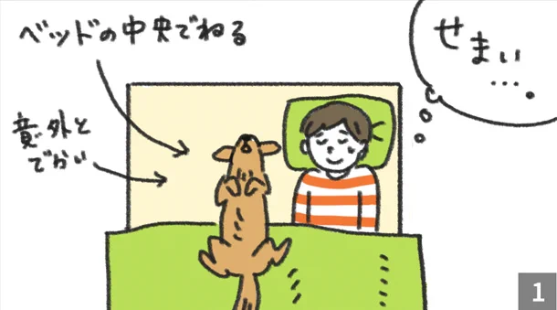 愛犬と一緒に眠るにはやや狭いベッド！セミダブルに変え、これでゆったり眠れると思いきや･･･！www