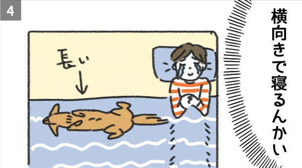 愛犬と一緒に眠るにはやや狭いベッド！セミダブルに変え、これでゆったり眠れると思いきや･･･！www