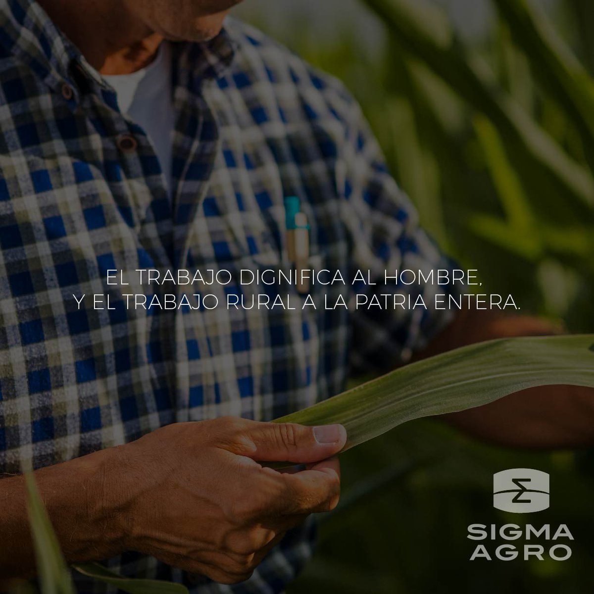 agro_sigma's tweet photo. 8 de Octubre: Día del Trabajador Rural 🌾 https://t.co/D7lFis7Rpp