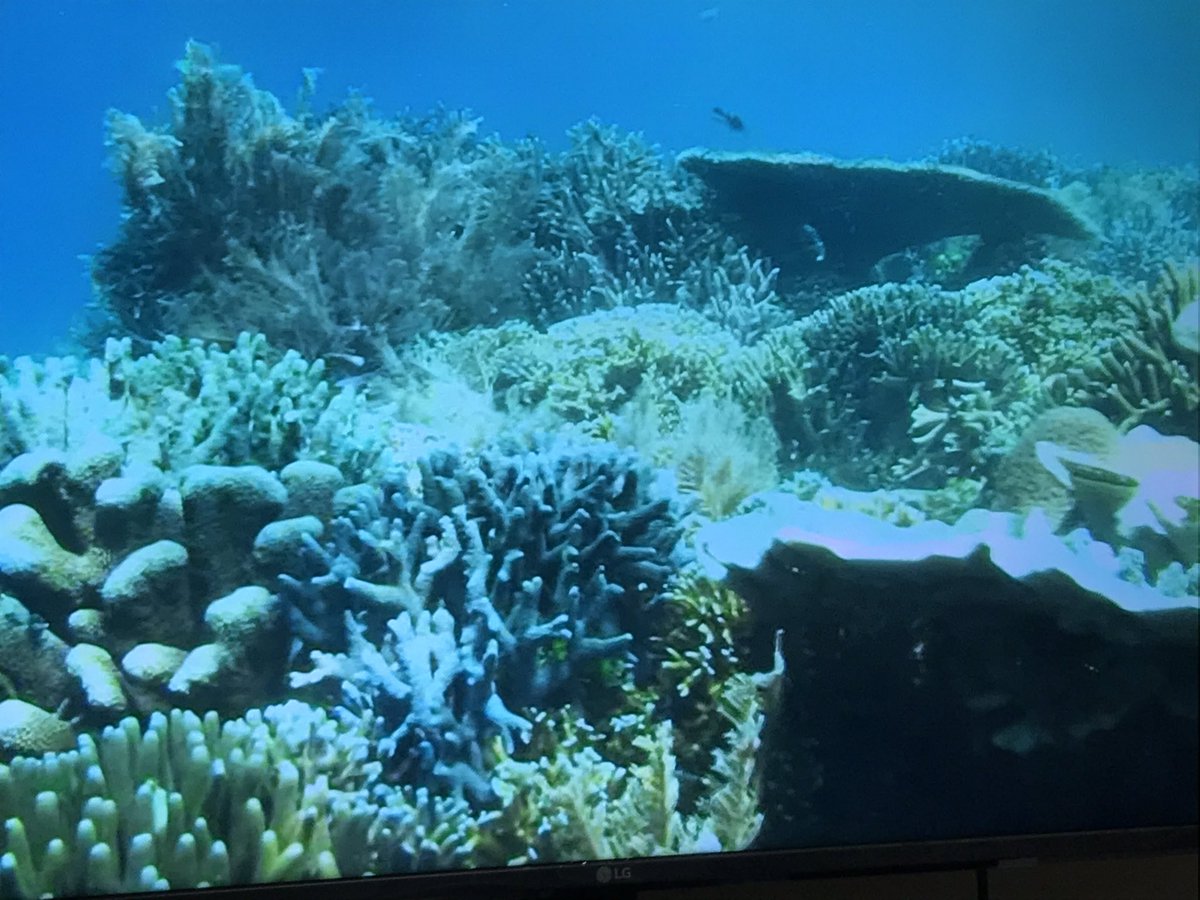 日テレがピーって
いってバグったあと
海の映像になった
いまCMになった
なんだったんだ(;´Д`) https://t.co/mb9dEstpdU