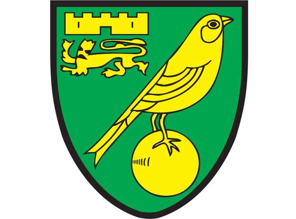 52) Norwich CityPoints: 125 Manager: Paul Warne Why are Norwich producing so many good goalkeepers? Five out of the seven best players from Norwich are goalkeepers. Not great for their squad balance.