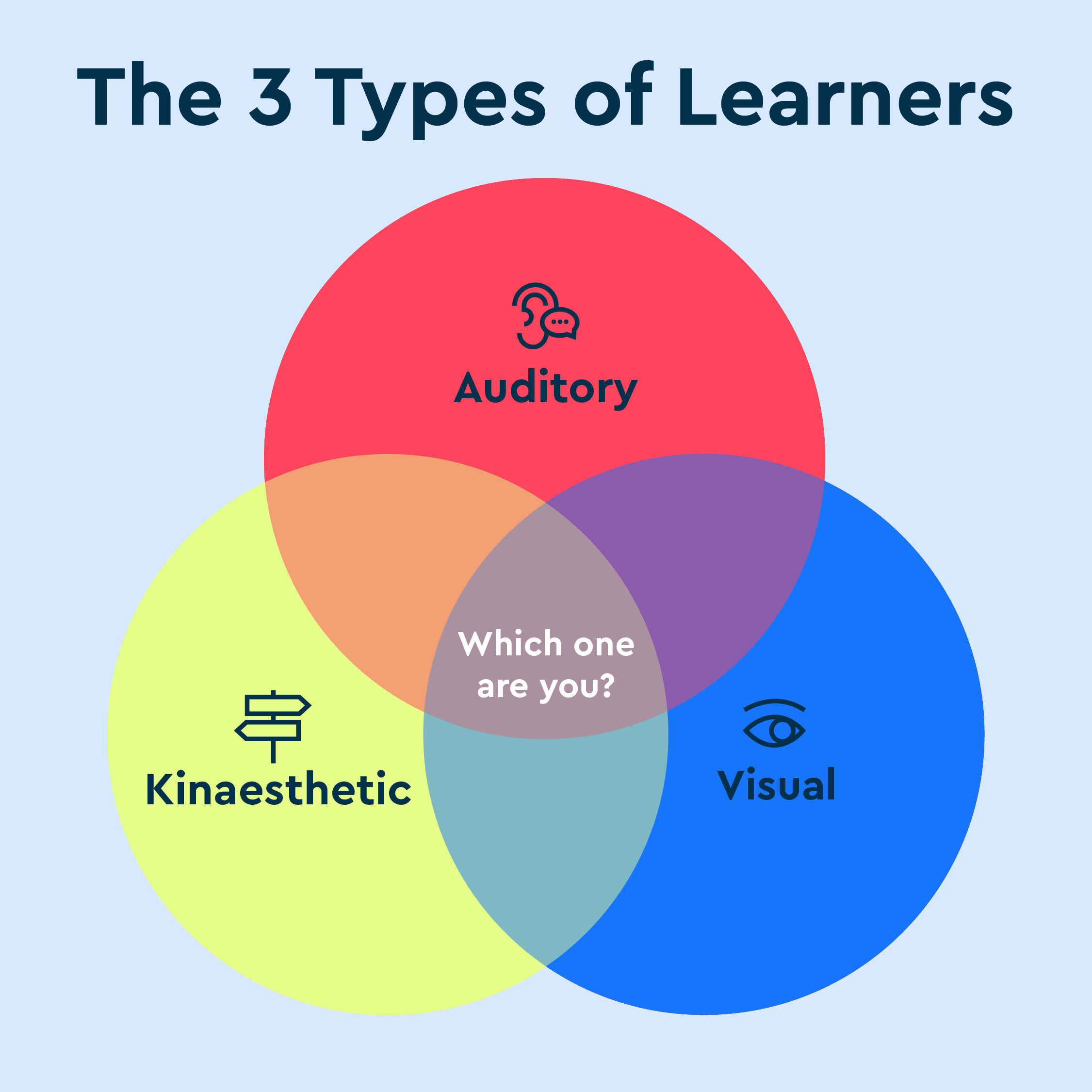 Three different learning styles