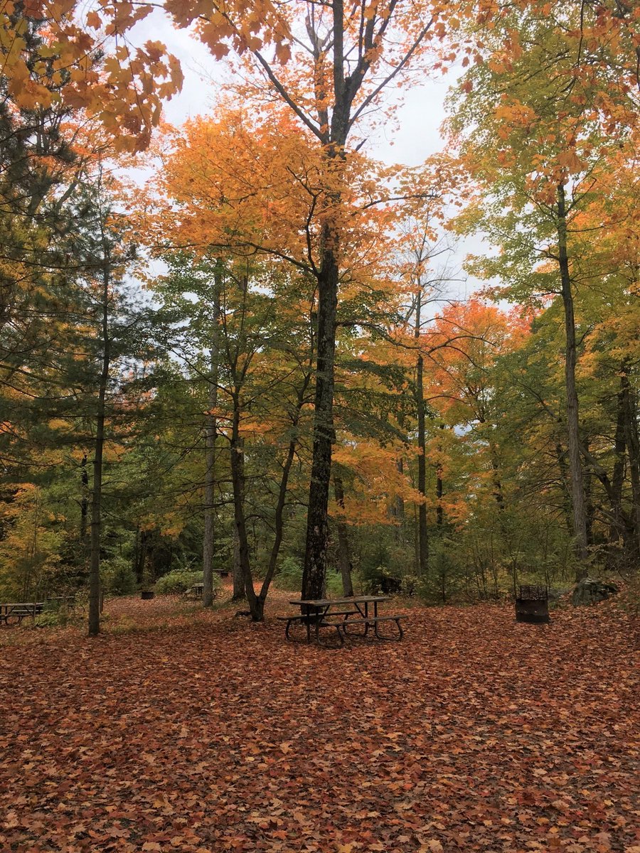 OastlerLakePP tweet picture