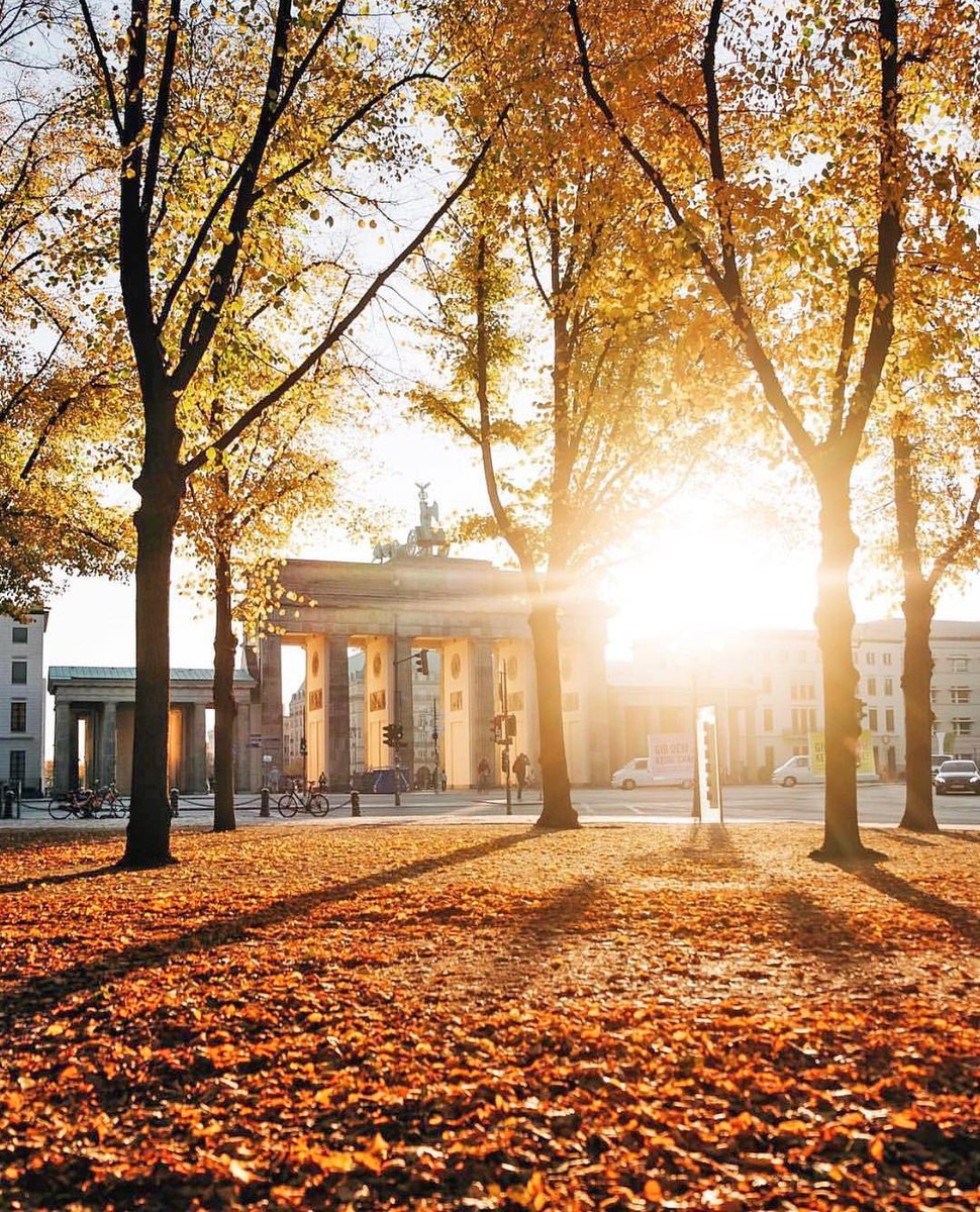Crisp autumnal walks near @HotelAdlon.
#Kempinski #KEMPINSKIDISCOVERY #DiscoveryLoyalty https://t.co/elaDjnlYLm
