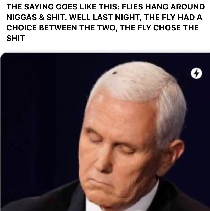 bertrams47's tweet image. SMELLS LIKE BULLSHIT, LETS LAND AND CHECK IT OUT.  NAW, ITS JUST PENCE AND HIS BULLSHIT.
