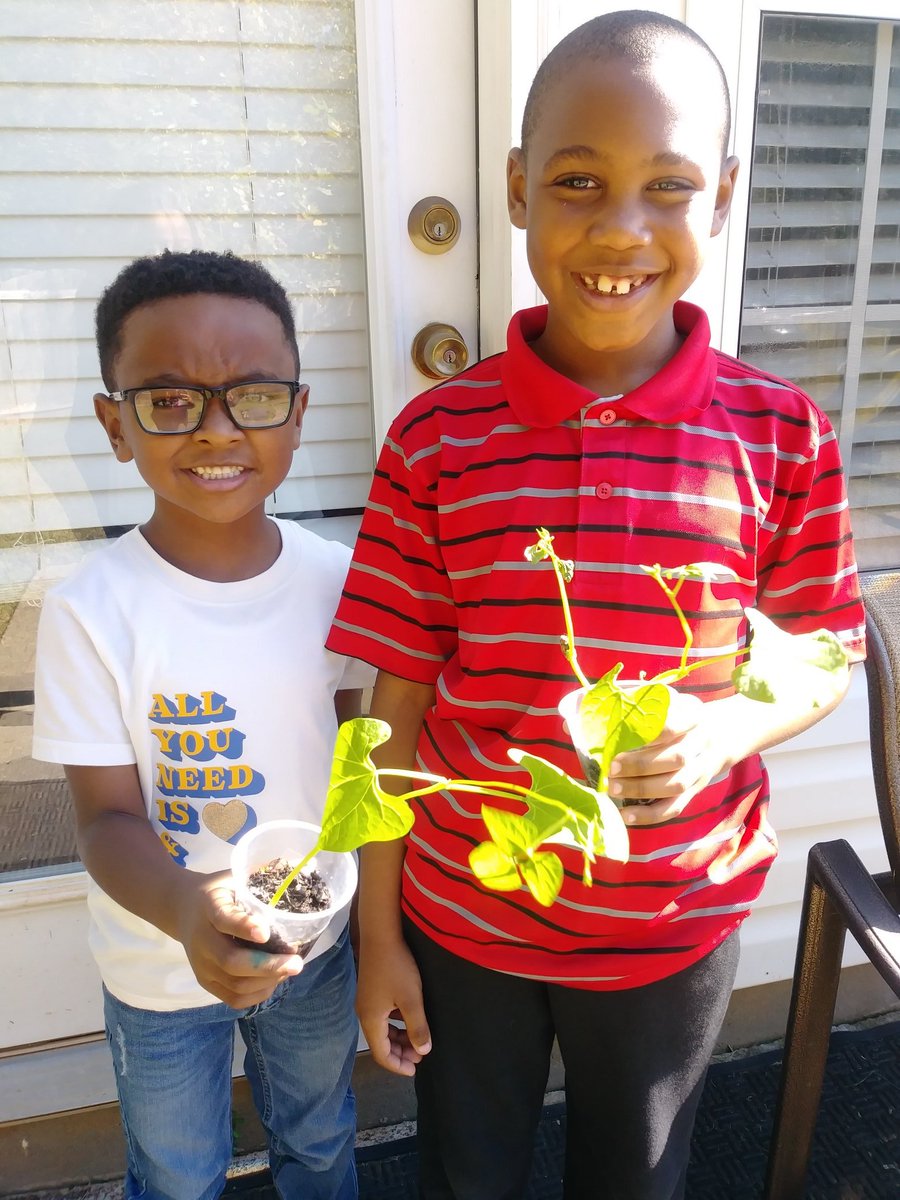 HomeschoolPower's tweet image. 📚🏠 We have been learning all about plants in elementary science! Take a look at our plants' progress! ❤
#homeschoolpower #homeschoolscience #plants