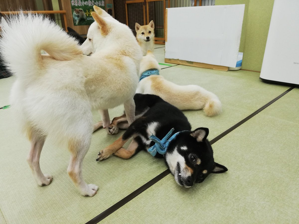 首都高 台風 3ページ目 に関する今日 現在 リアルタイム最新情報 ナウティス