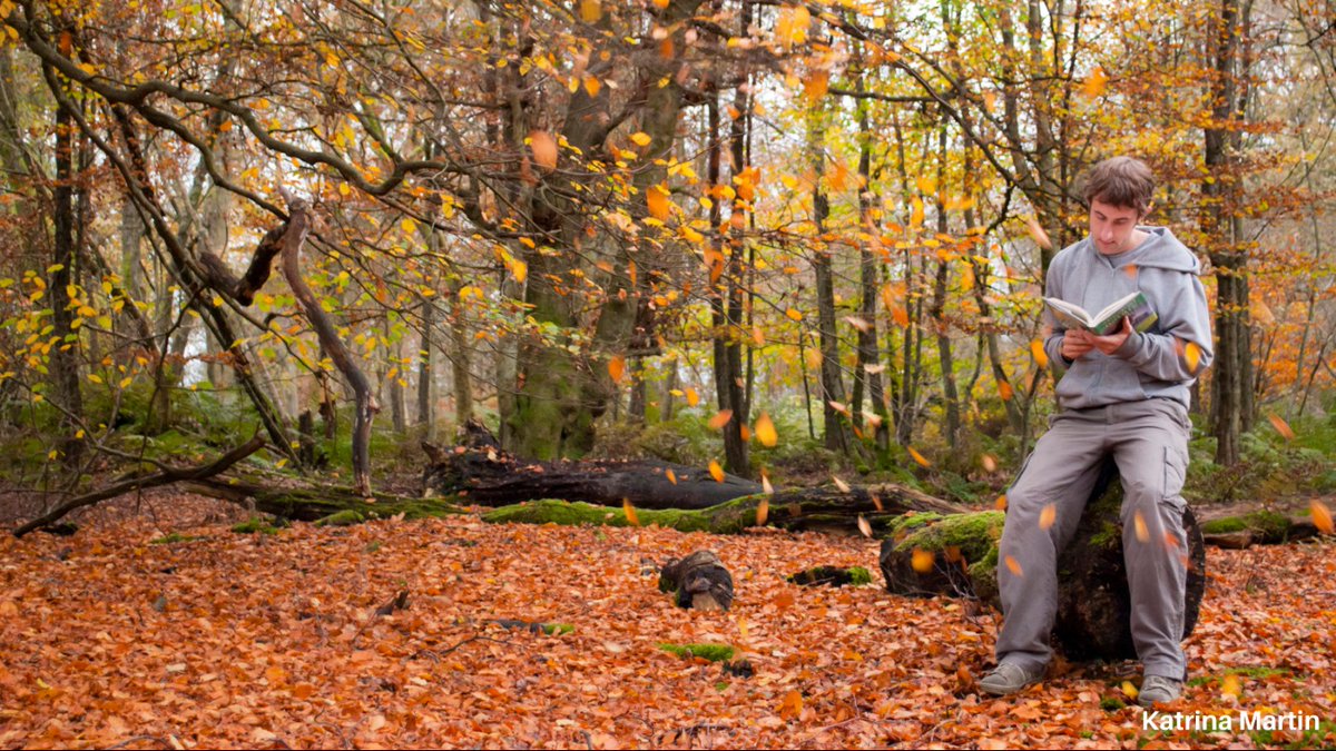 SomersetWT's tweet image. Join @wellslitfest on Sunday 18th October at 12pm for our President @StephenMoss_TV in conversation with @BirdgirlUK &amp;amp;  @alice_emily, discussing unlikely places for nature to thrive! Get tickets or register for livestream 👉 wellsfestivalofliterature.org.uk/18-october-2020 @Thelastword1962 @brendon_books
