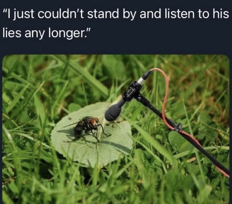 iamLisaHunt's tweet image. #penceWonTheDebate in his dreams