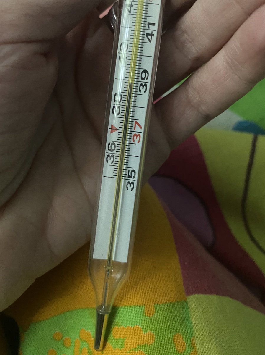 Крейзисука tweet media