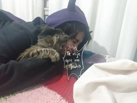 Amo a mi gato 😌✨ https://t.co/IlTBukFoQf