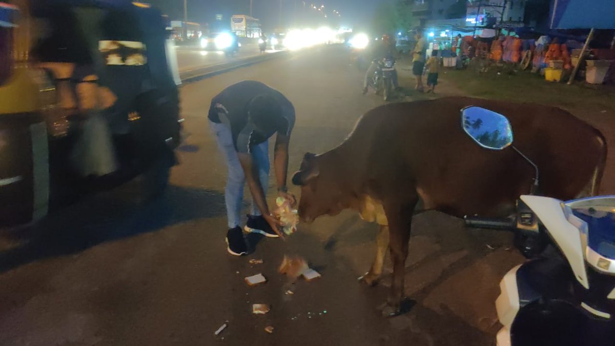 teamsevasft's tweet photo. #16th_Week
#Divya_Aadhaar
#Protection_to_Animals
#CONCERN_FOR_STRAY_ANIMALS_BY_SEVA_SOCIAL_FOUNDATION_TRUST
(Cows and Bulls are labelled with glow stickers in Bhubaneswar)BBSR-22.10.2020 
@BehuraGitanjali @PriyaMishra1007 @sadasiba2013 @CHIKUKALRA @ViralRotiBanks @ASidharthSankar https://t.co/UTBwWankAK