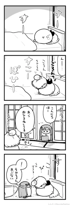 こあらすたいるでおひるねするよーとちかとまちゅうら 