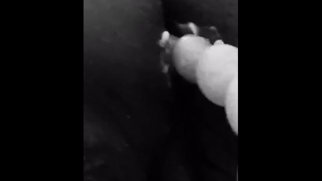 For all my fans, new content up on PornhubModels: https://t.co/6UjYI2LF0c https://t.co/9J8gTvHsqL