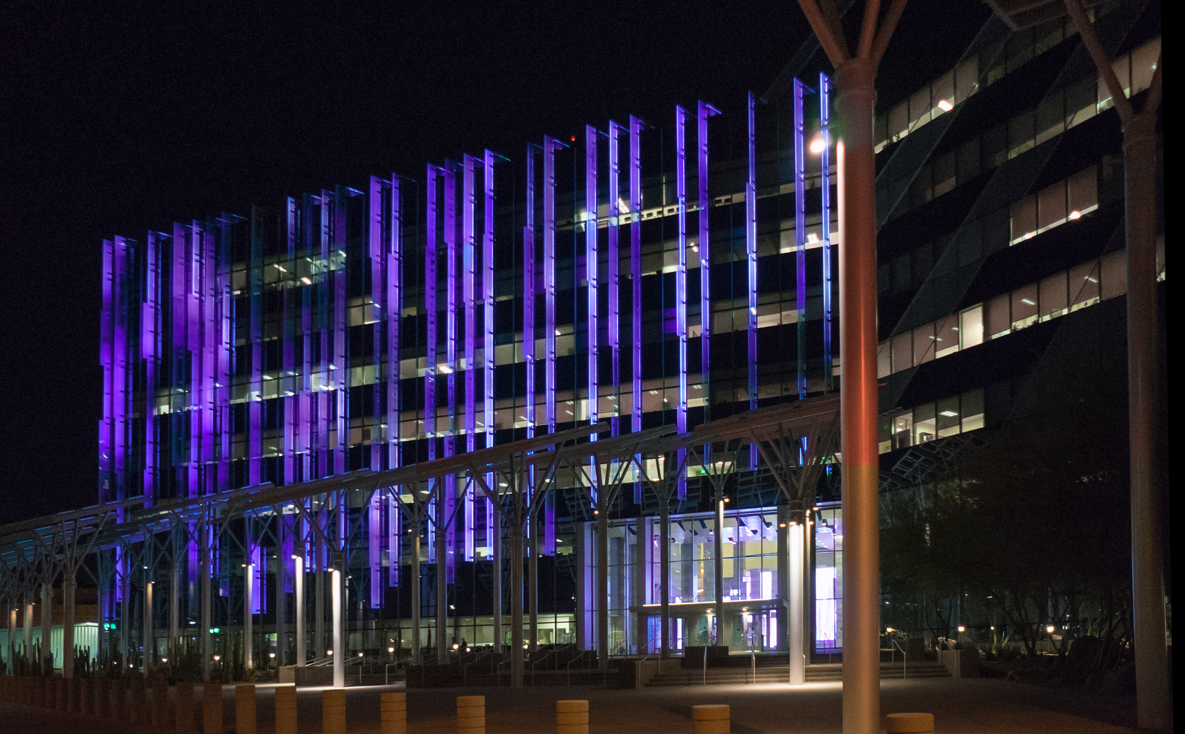 City of Las Vegas on X: City Hall is purple tonight to recognize  #LupusAwarenessMonth 💜 @LupusOrg  / X