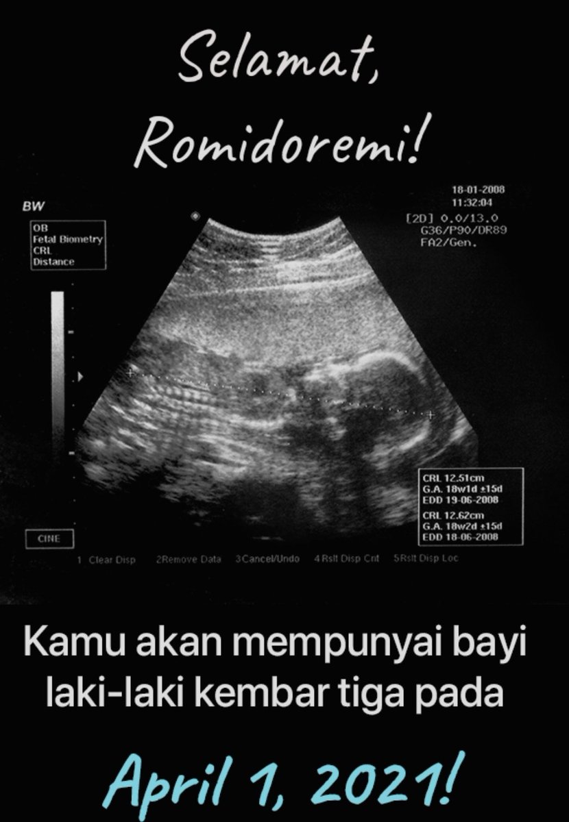 roomss tweet media