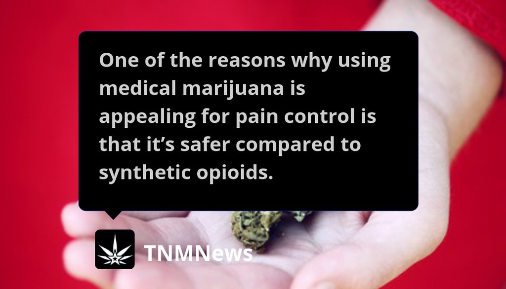 Medical Marijuana: A Brief Overview
▸ https://t.co/YZNIU9TCWx
#MedicalMarijuanaRegimen #MedicalCannabis #LegalWeed #Cannabis #Marijuana #TNMNews #Edibles #Science #News https://t.co/dXcVFrxQMD