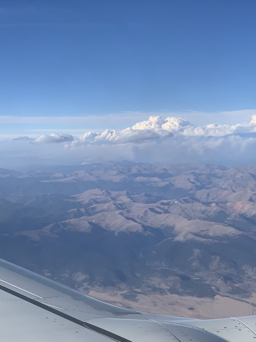 Edie Chambers tweet media