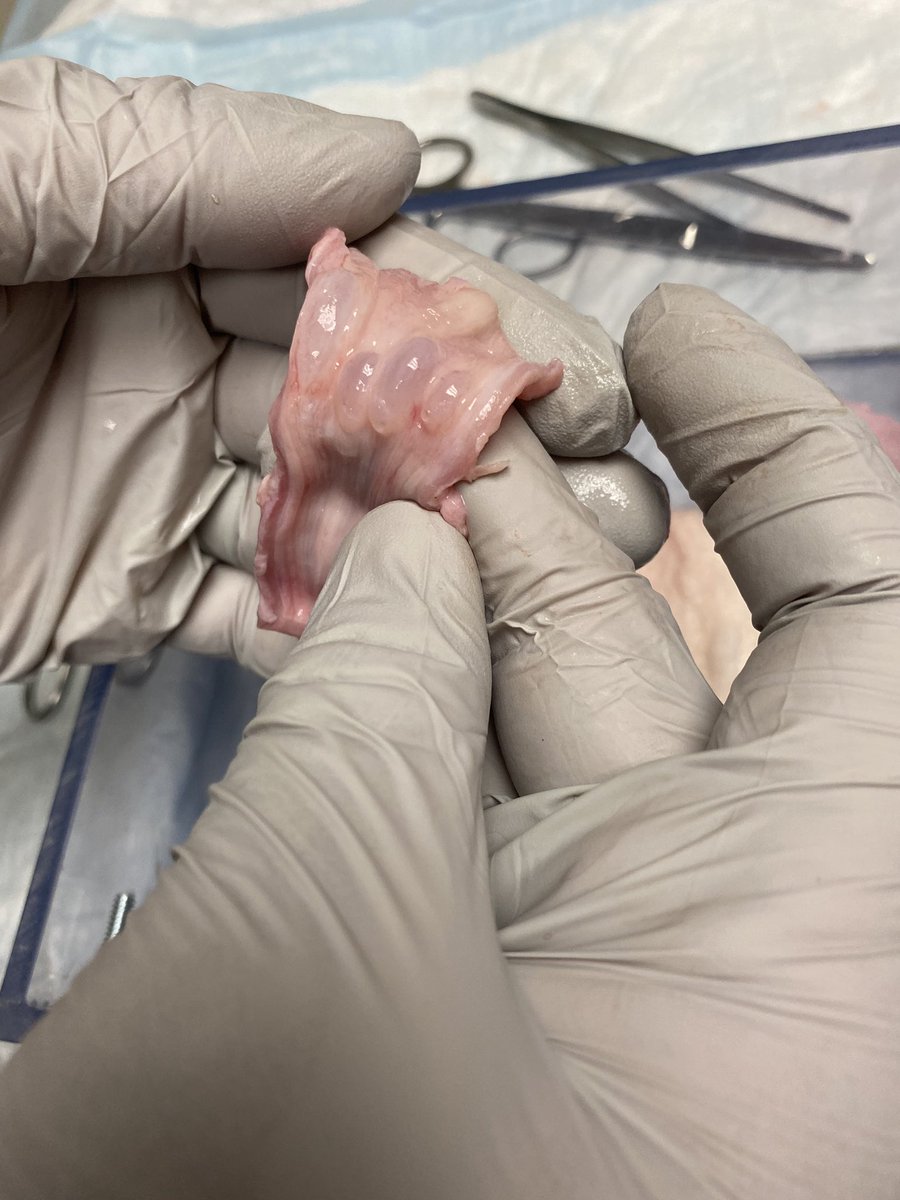 Stan Moore tweet media