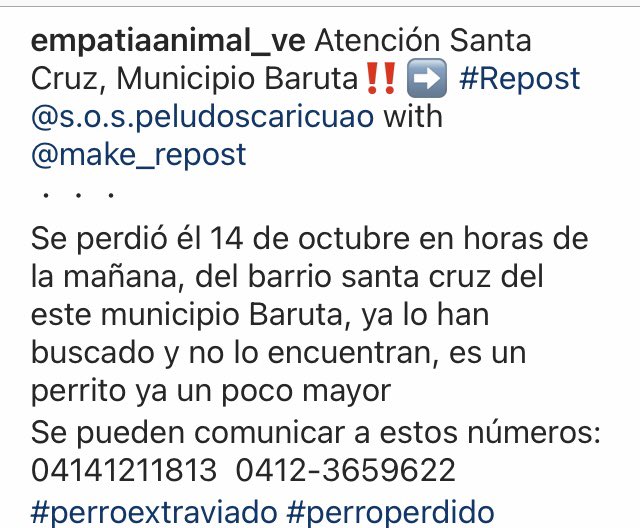 PerroUsuario's tweet photo. Reporta @EmpatiaV: Este precioso 🐶 está perdido desde el 14 de octubre, su familia lo busca, ayúdalo a regresar. https://t.co/dudo6G8lSW