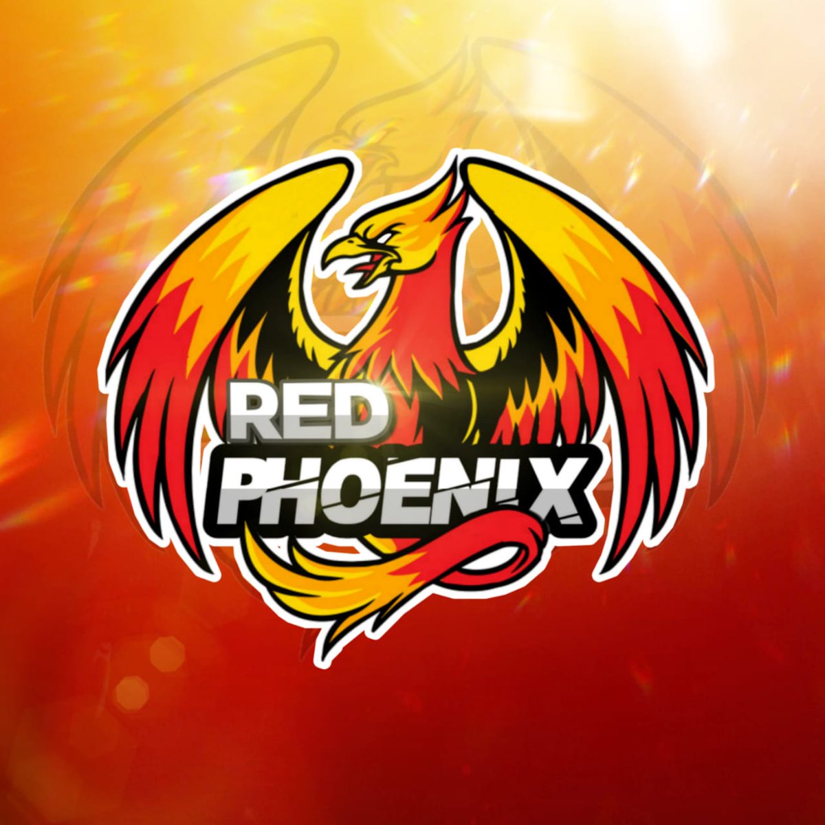REDPHOENIIX's tweet photo. Estamos com recrutamento ON
Somos uma guilda mista, mais interesse chama na dm 

#freefire RECRUTAMENTO https://t.co/OMCY4OcjLY