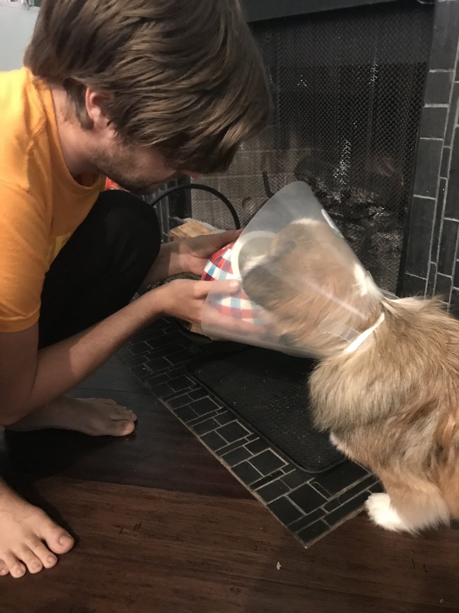 I have to feed him like this. Cones are dumb