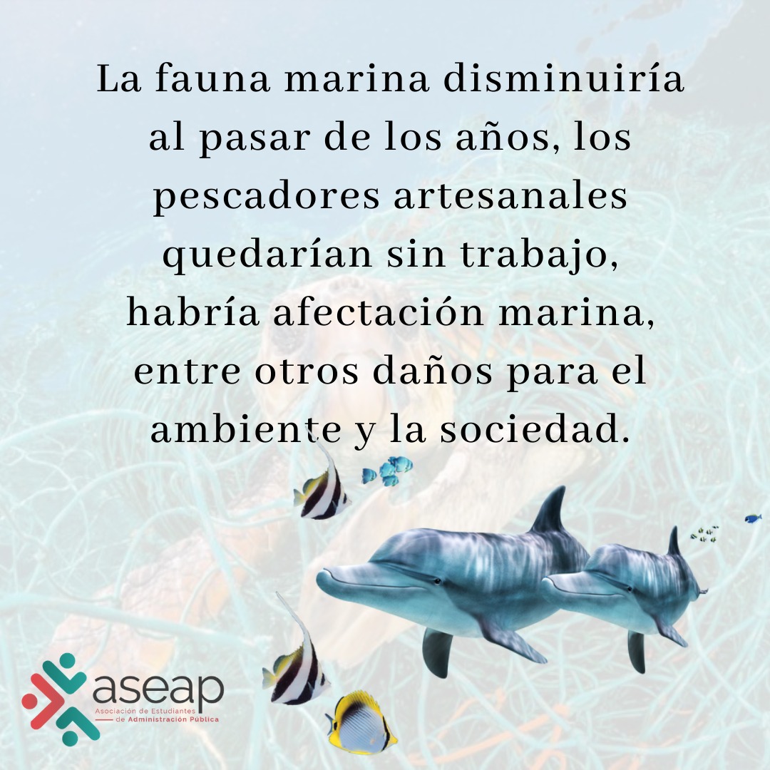 ASEAPUCR's tweet photo. ¿Pesca de arrastre?
Te contamos un poco sobre este proyecto y las consecuencias del mismo
#Pescadearrastre #VidaMarina #Ambiente #ASEAP https://t.co/wUGHXHylzg
