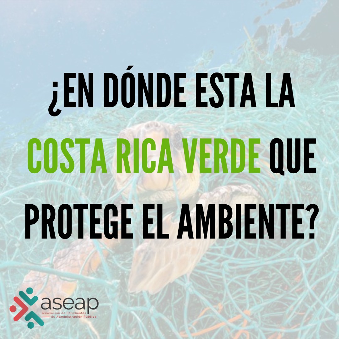 ASEAPUCR's tweet photo. ¿Pesca de arrastre?
Te contamos un poco sobre este proyecto y las consecuencias del mismo
#Pescadearrastre #VidaMarina #Ambiente #ASEAP https://t.co/wUGHXHylzg