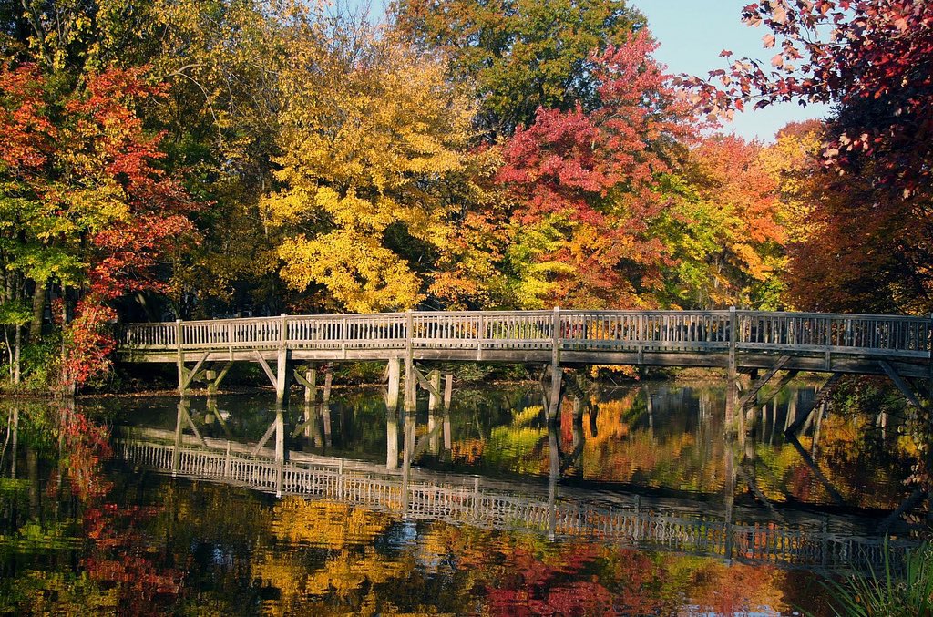 George R Axberg III tweet media