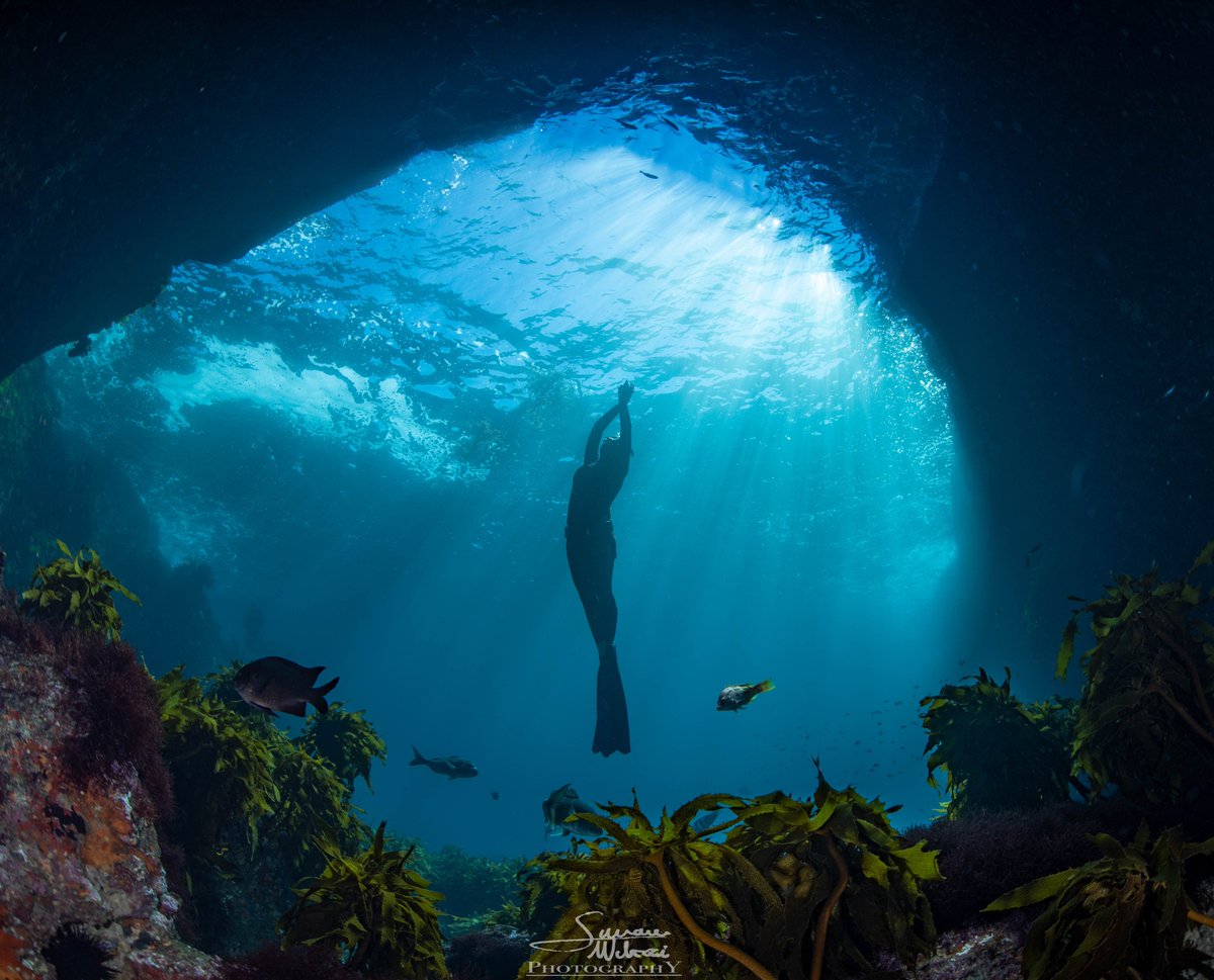 summer, blue, sunshine, white sands, and salty, sun-kissed skin.
#weekendweather #poorknights #dosomethingnewnz
Boring forecast, no change, but summer feels. Yeeeeow!