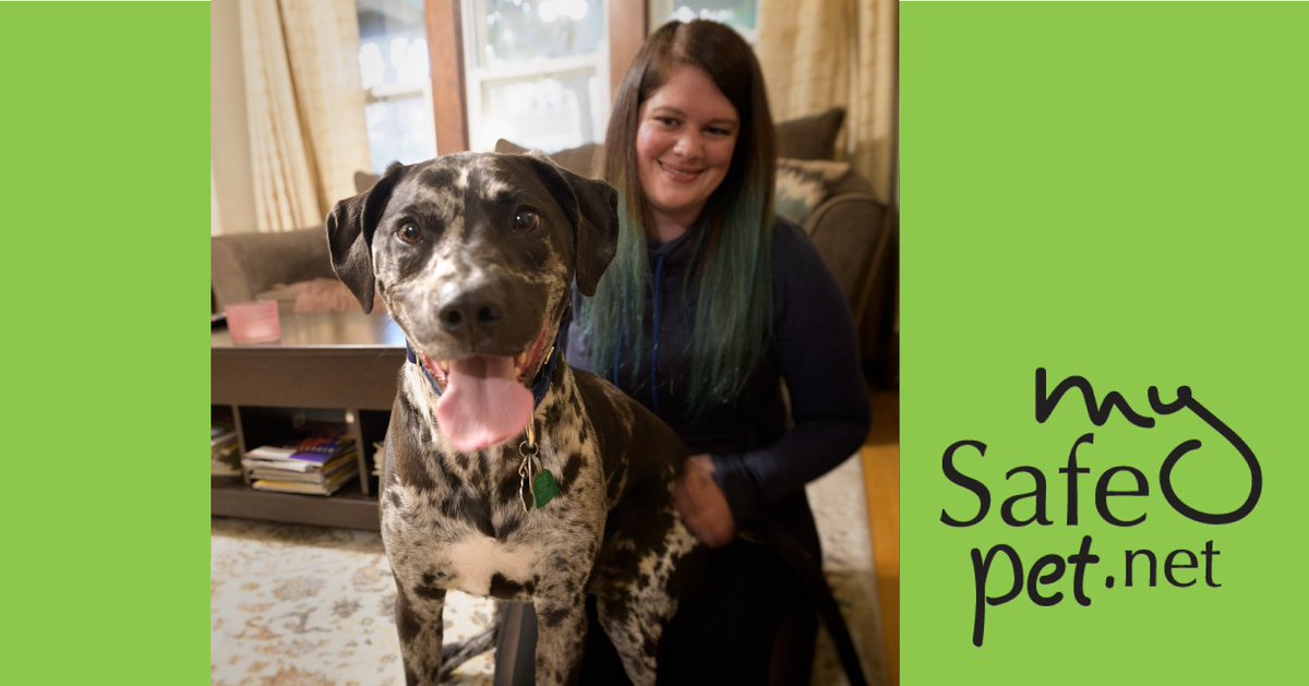 MySafePetNet's tweet photo. In honor of #MakeADogsDay, enjoy this fun picture of Opie. He is a mixed-breed #rescuedog who make his owner Kelsey's day every single day. Look for their story coming soon on https://t.co/GBHnUJHQei, but go there now to read other pet tales. Comment 👇and share 📸 of your pooch. https://t.co/FbI9IwPYZl