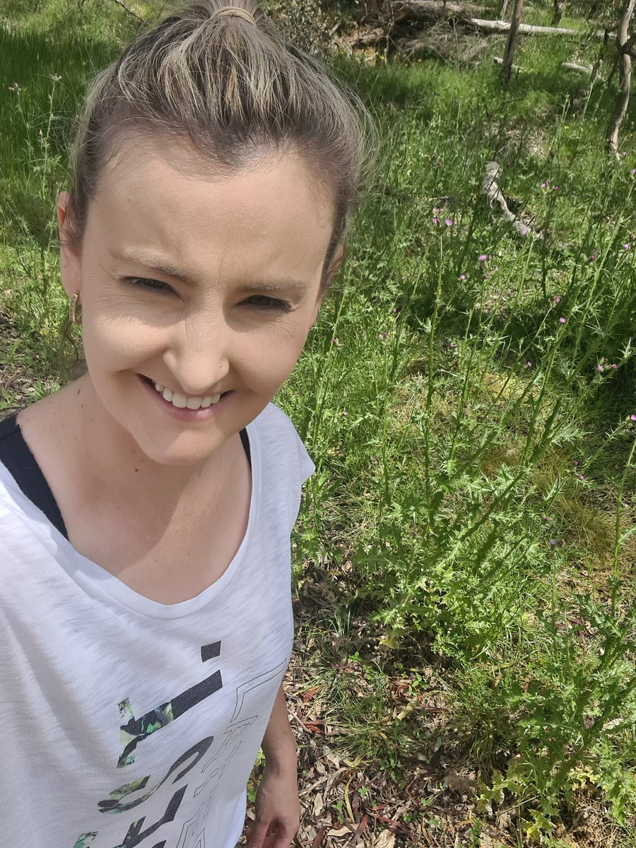 _outRAGEjess's tweet photo. Lunchtime run through the Mount Ainslie. Weather was beautiful if not a bit squinty. 😎
Saw two blue tongue lizards and no snakes - just how I like it! 🦎
#canberra #run #wildlife #bluetonguelizard #fastedrun #intermittentfasting #vegan https://t.co/65f7GFAOBB