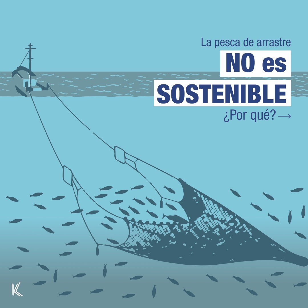 Kinesis TEC tweet media