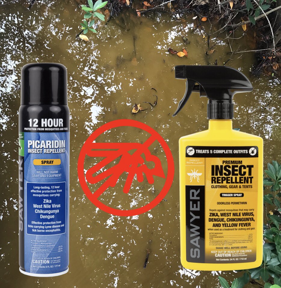 BillJacksonShop's tweet photo. These wigglers are mosquito larvae. When they grow up, they’re going to bite you unless you are prepared. Treat your clothes with permethrin and exposed skin with picaridin by @sawyerproducts . #sawyerproducts #insectrepellent #insectrepellentspray #mosquito #dontgetbit https://t.co/TJRSD9elp8
