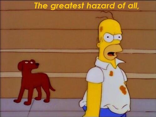 Bibliobabble's tweet image. 