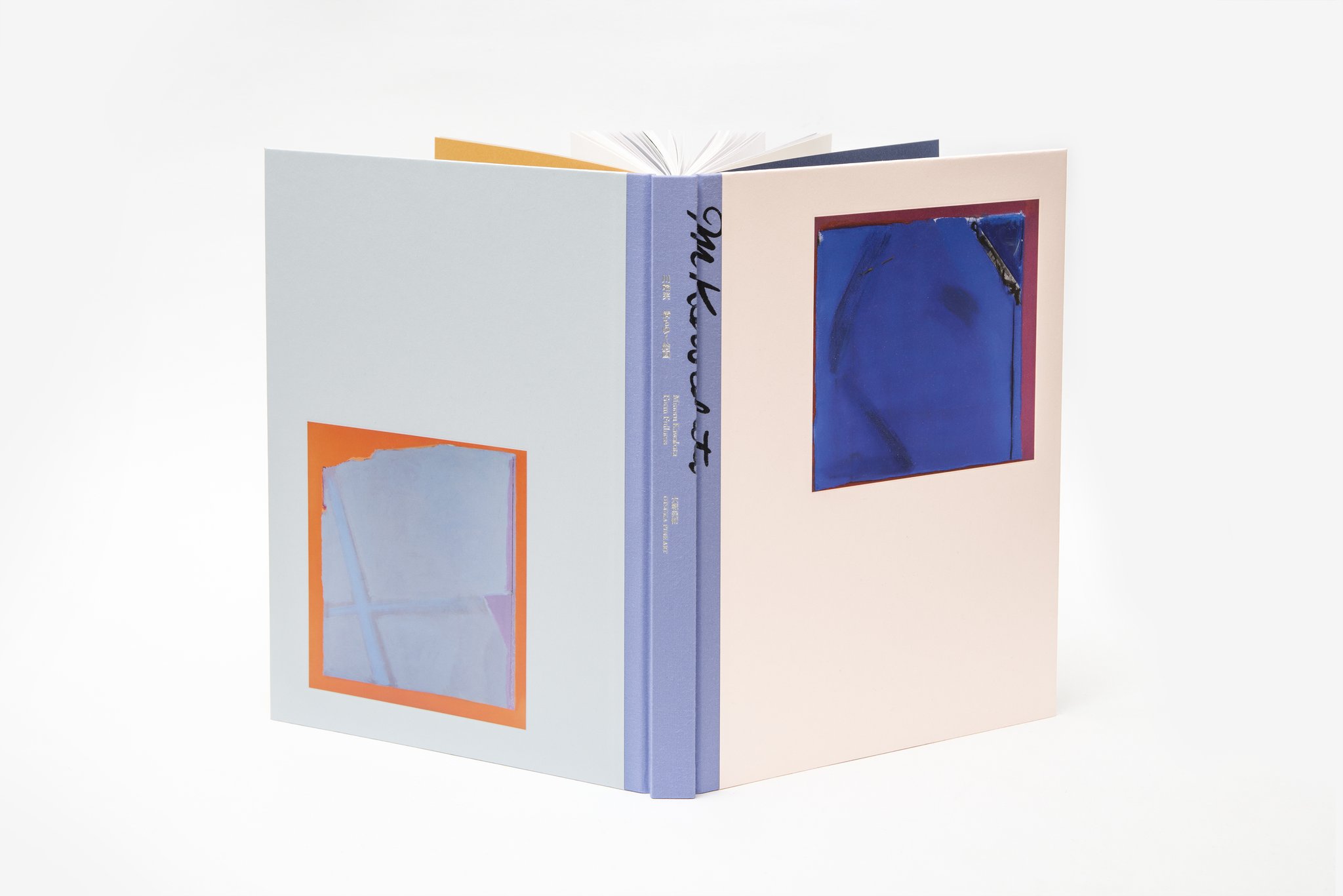 Amazon.co.jp: 川端 実展 MINORU KAWABATA／京都国立近代美術館