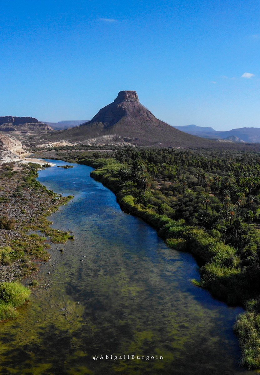 El famosísimo cerro de El Pilón. 
.
.
.
.
#bcsmx #comondú #elpilón #lapurísima #sanisidro #dátiles #visitbcs #drone #dji #fotoaérea #naturaleza #turismo #carretera #mexico 🌾⛰🏜