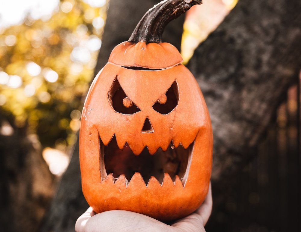 https://t.co/EY6Q5vXGmF Follow this link for great Halloween infused recipes. #Halloween #cannabis #marijuana #420 #710 #edibles #infused #floraverde #shoplocal https://t.co/cGJ5eEE0B6