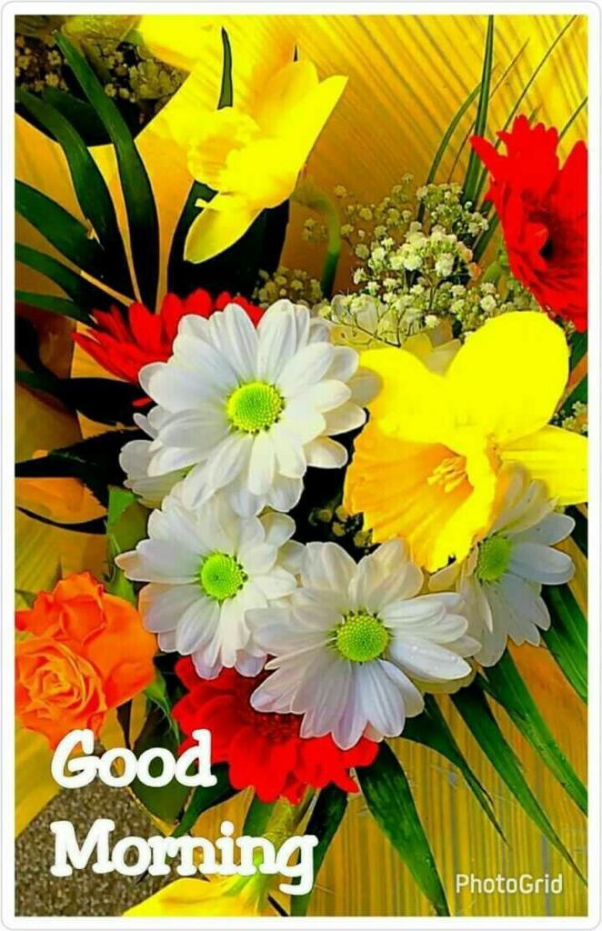 <a href="/LilianaGreenOk/">Liliana Green Borcegos ⛔️DM⛔️</a> <a href="/cherylpostlethw/">cheryl postlethwaite</a> <a href="/lilitaprofesion/">liliana garcia</a> <a href="/mariamarreto/">maria aguila</a> <a href="/mariadelomas90/">maria de lomas 🐱💛🐞🕊💙🏆🌟🌟🌟</a> <a href="/SeonSueq/">SueQ Seon</a> @Lidia__mia <a href="/xuankiet/">Kiet Do</a> <a href="/naturebring651/">Nature Bring</a> <a href="/Fifonka13/">Iwona</a> <a href="/crucianel/">elisabetta crucianel</a> <a href="/gracinhalara/">Gracinha Lara</a> <a href="/presademi/">Jardín en la aurora (Περσεφόνη)</a> <a href="/elsufuen/">Susana Fuentes</a> <a href="/memva/">luna llena</a> <a href="/nadeem_janjua/">Nadeem Janjua</a> <a href="/Saffron606/">~*~ Saffron ~*~</a>