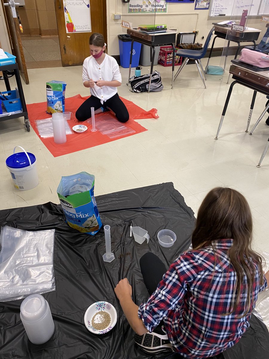 Mrs. Bornschein tweet media