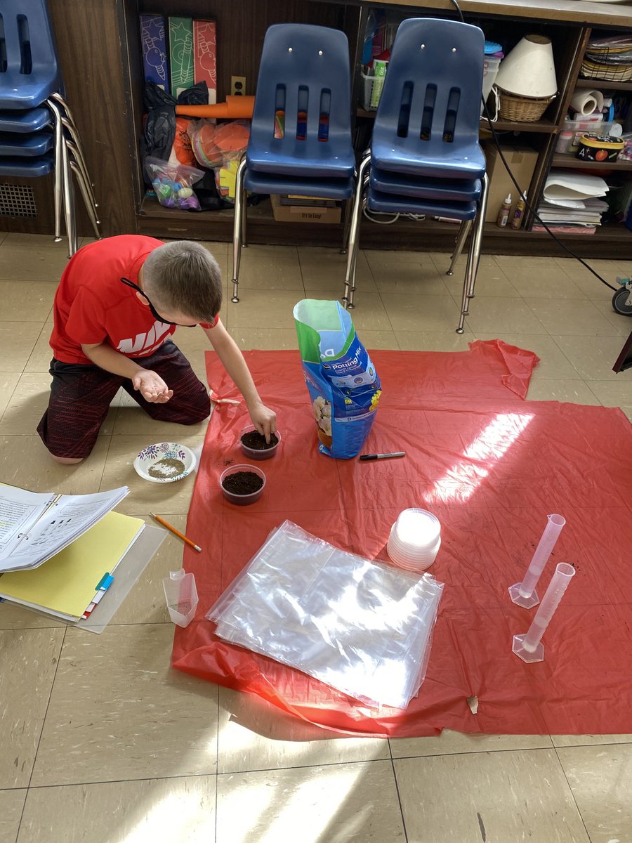 Mrs. Bornschein tweet media