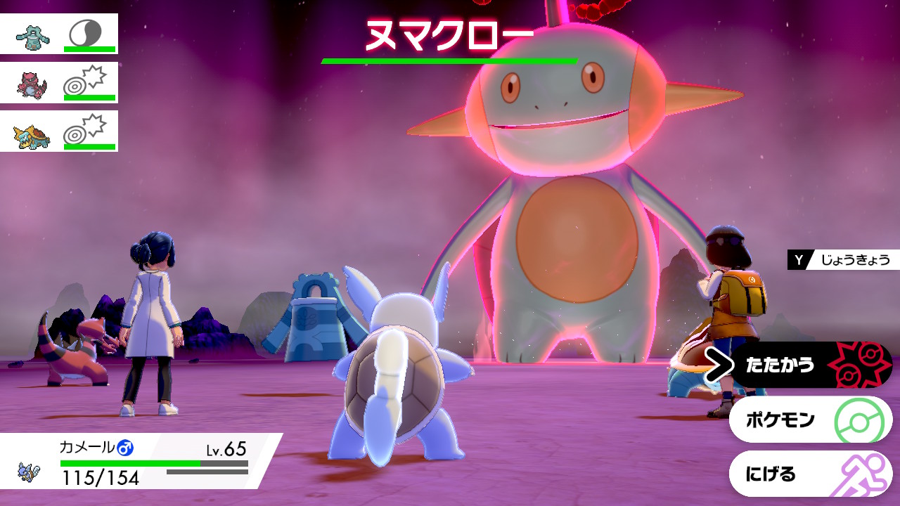 ずごろー Auf Twitter ポケモン剣盾 冠の雪原 ホウエン御三家内定の模様 冠の雪原 T Co V1kf3t7wt7 Twitter