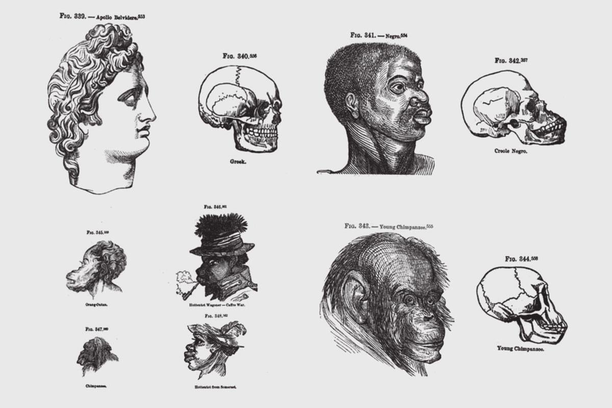 Hopefully we’re all learning about this on our own or through coursework. But if not: look into how theories of cultural evolution dominated anthropological thinking for centuries. Read about the roles played in informing colonial decision-making & scientific racism.