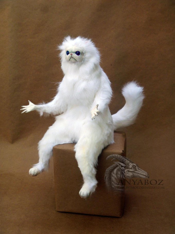 The audience when trump said “I’m the least racist person in this room”