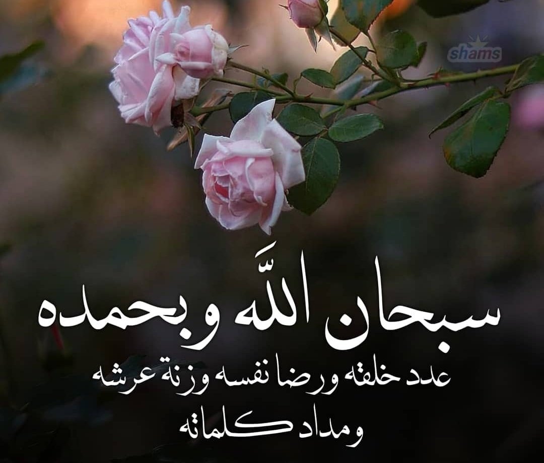 RO12OG's tweet image. 