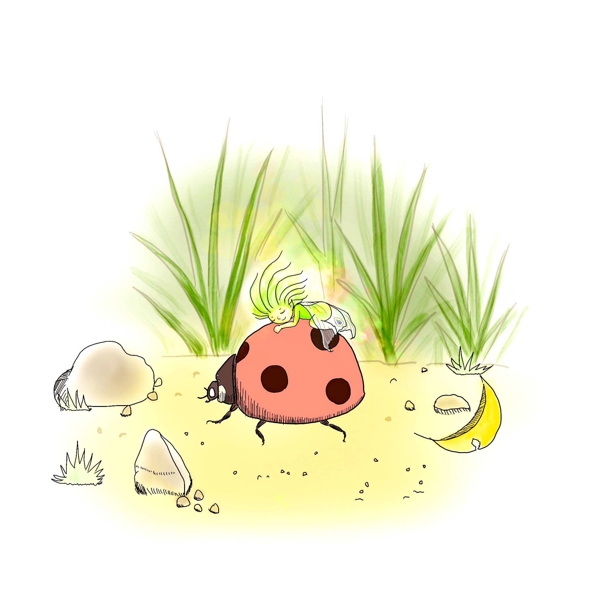 1010mushi Ladybug Day 13 Of My 1year Ladybug Challenge Uber ウーバー てんとう虫アートチャレンジ 13 てんとう虫イラスト Ladybugartwork てんとう虫 Ladybug 1010mushi 落書き イラスト好きな人と繋がりたい イラスト初心者 T Co