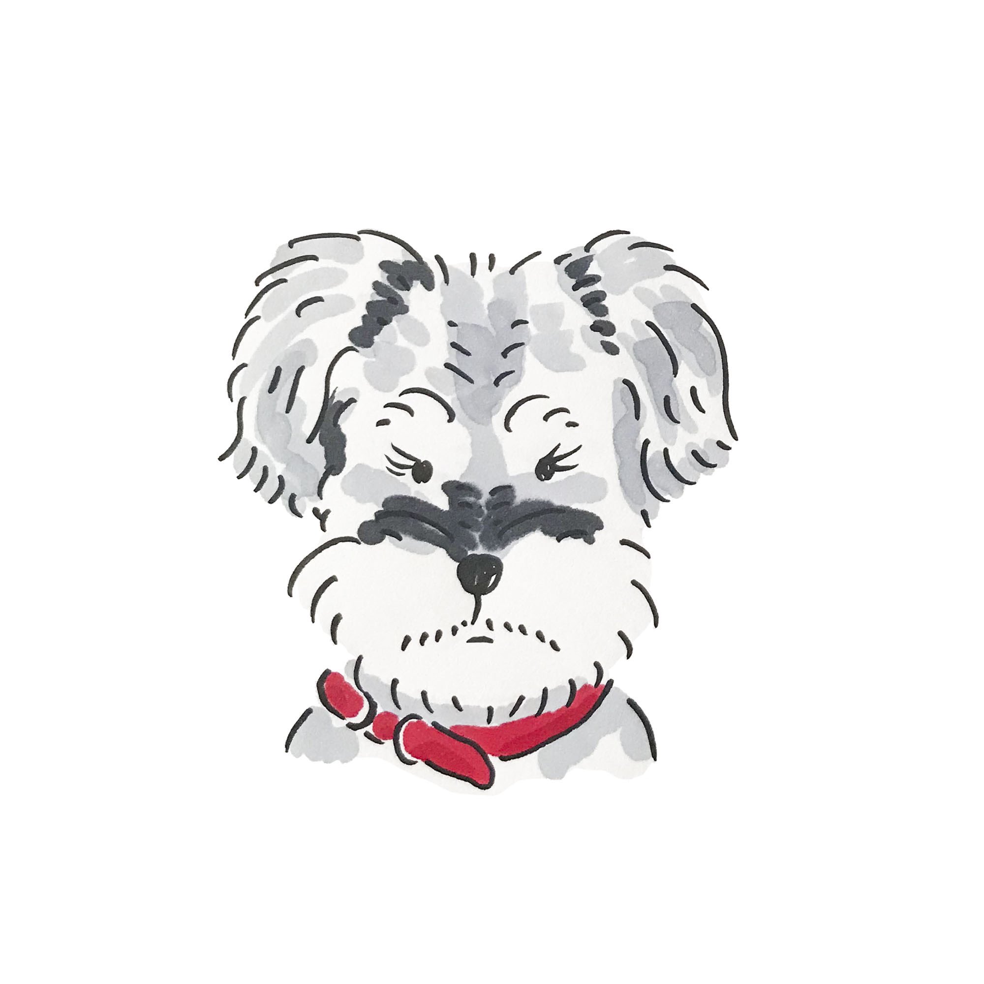 Omami 犬専門イラストレーター ミニチュア シュナウザー またまたまつ毛ちゃん いぬ 犬 シュナウザー 愛犬イラスト 犬イラスト イラスト 犬好きな人と繋がりたい いぬのいる暮らし いぬすたぐらむ 犬部 イラストオーダー 犬ブローチ