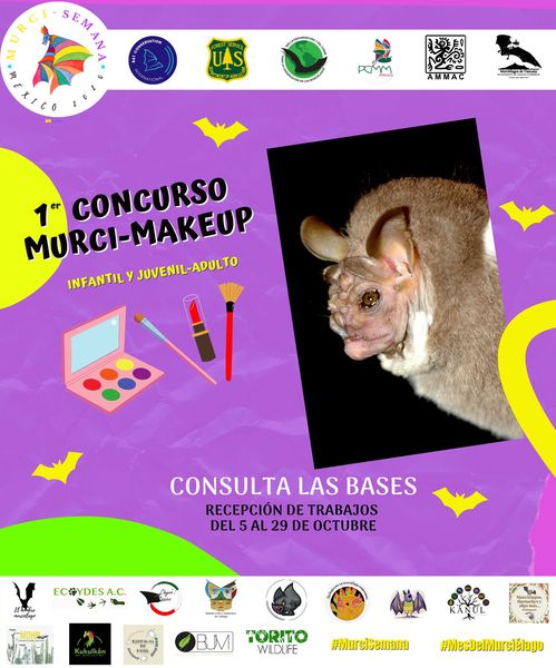 Bioconciencia__'s tweet photo. Los invitamos a participar en el concurso de maquillaje de murciélago "Murci-makeup" como parte de las celebraciones del mes del murciélago y la BatWeek. 🦇🦇🦇
#murciélago #RELCOM #BatWeek #MurciSemana https://t.co/atDLQlXyYo