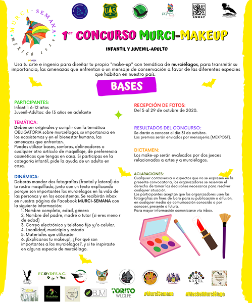 Bioconciencia__'s tweet photo. Los invitamos a participar en el concurso de maquillaje de murciélago "Murci-makeup" como parte de las celebraciones del mes del murciélago y la BatWeek. 🦇🦇🦇
#murciélago #RELCOM #BatWeek #MurciSemana https://t.co/atDLQlXyYo